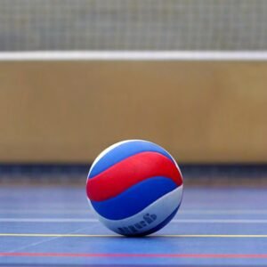 volleyball, ball, volleyball field, sports, volley, ball sports, team sport, lines, playing field, competition, training, gym, team, bullet, leather ball, team sports, championship, web, athletic, hall, volleyball net, volleyball, volleyball, volleyball, volleyball, volleyball